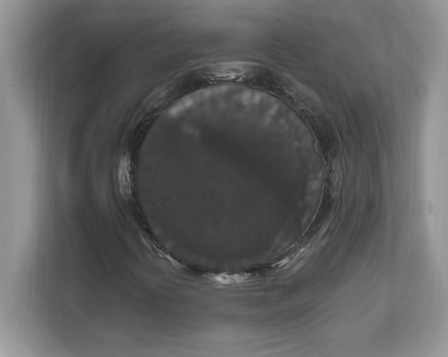 X0000111581394200907301355