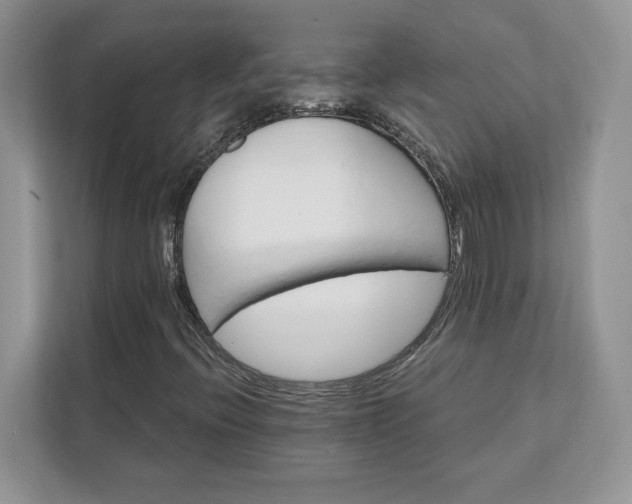 X0000111581396200907301355