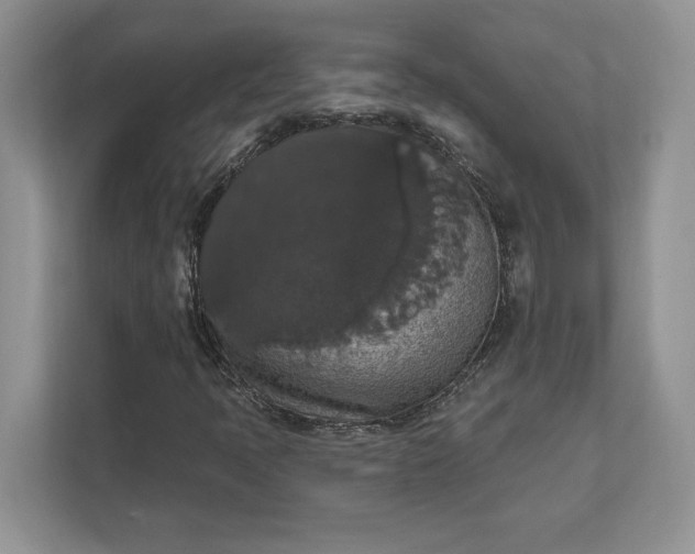 X0000111581397200907301355