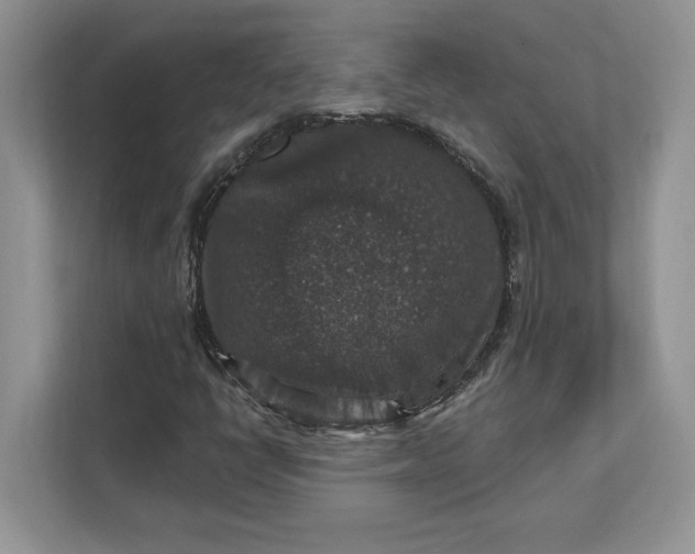 X0000111581398200907301355