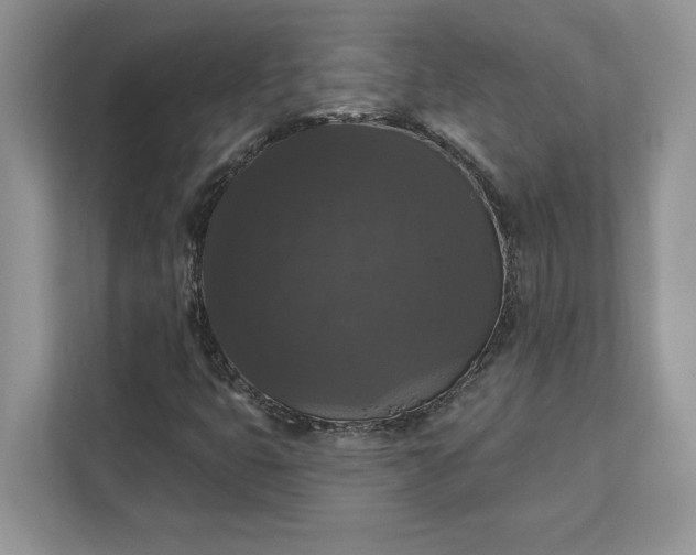 X0000111581399200907301355