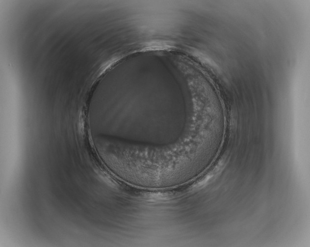 X0000111581401200907301355