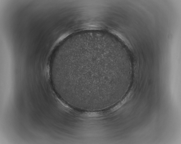 X0000111581402200907301355