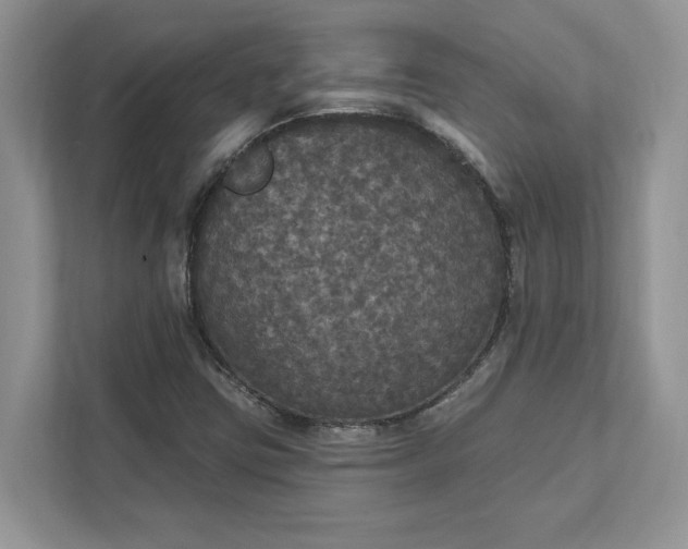 X0000111581403200907301355