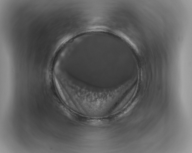 X0000111581405200907301355
