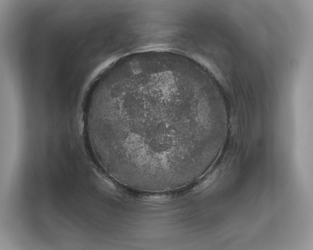X0000111581406200907301355