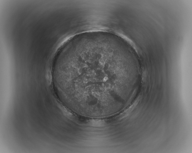 X0000111581407200907301355