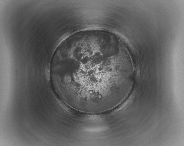 X0000111581409200907301355