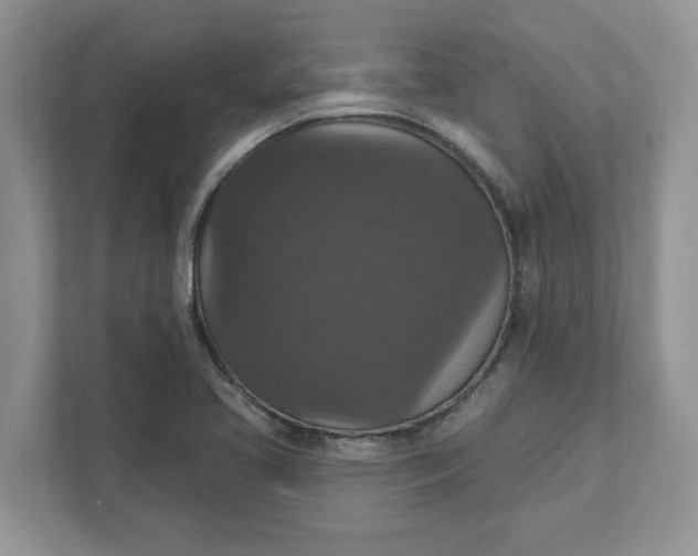 X0000111581413200907301355