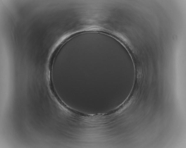 X0000111581414200907301355