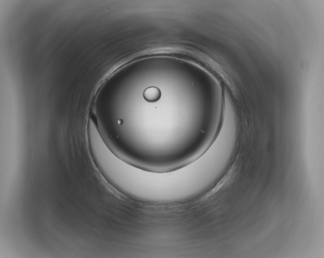 X0000111581417200907301355