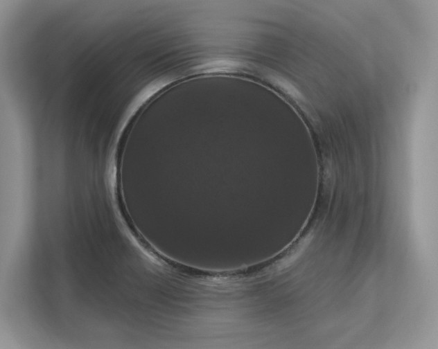 X0000111581418200907301355
