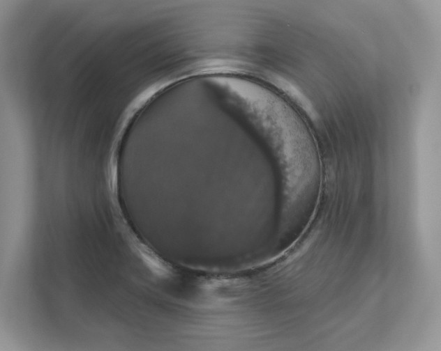 X0000111581419200907301355