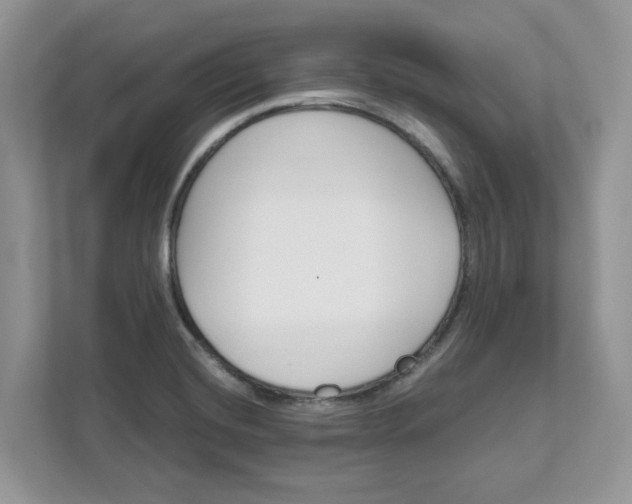 X0000111581420200907301355