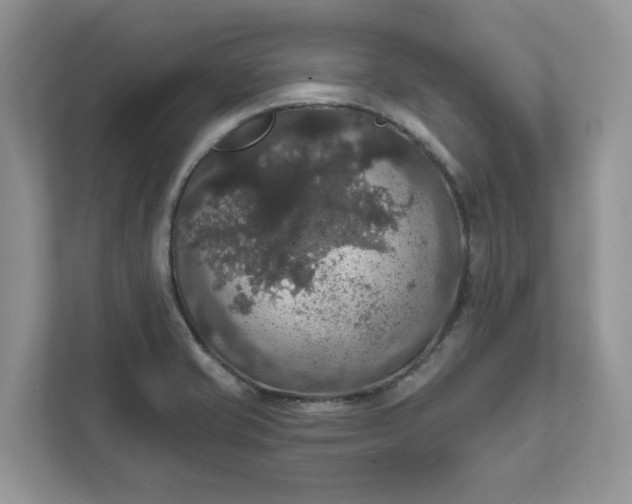 X0000111581421200907301355