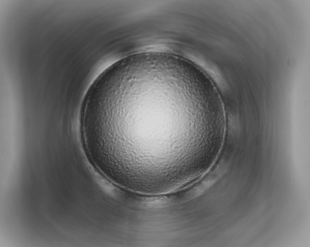 X0000111581426200907301355