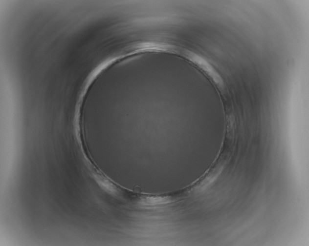 X0000111581427200907301355