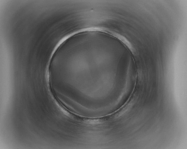 X0000111581428200907301355