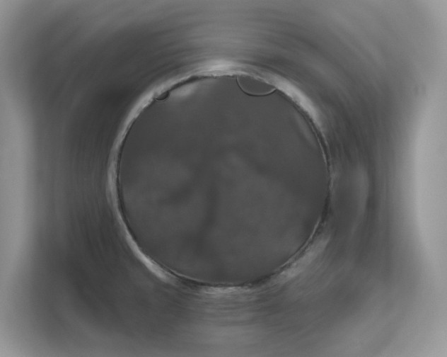 X0000111581429200907301355
