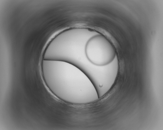 X0000111581432200907301355