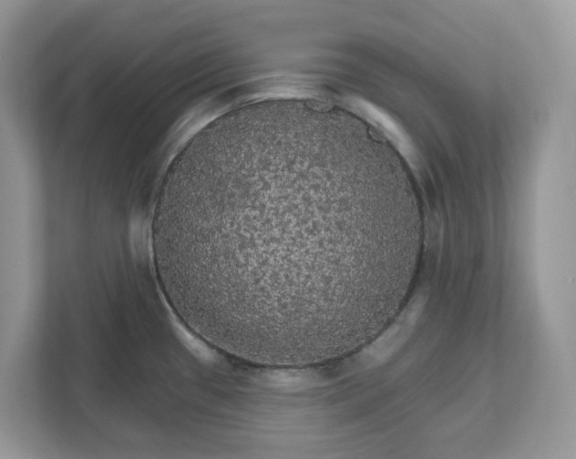 X0000111581433200907301355