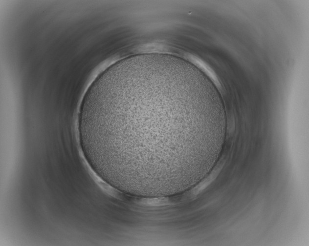 X0000111581434200907301355