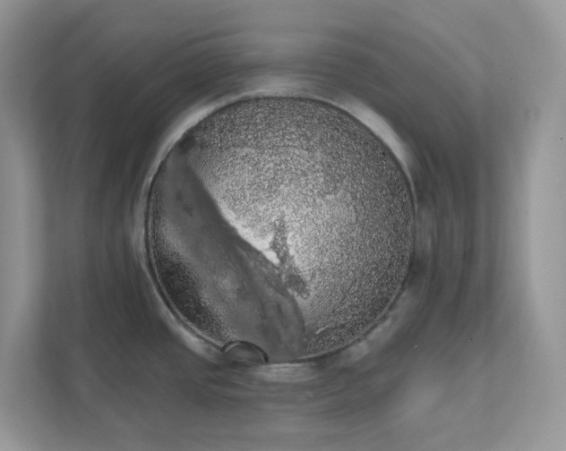 X0000111581437200907301355
