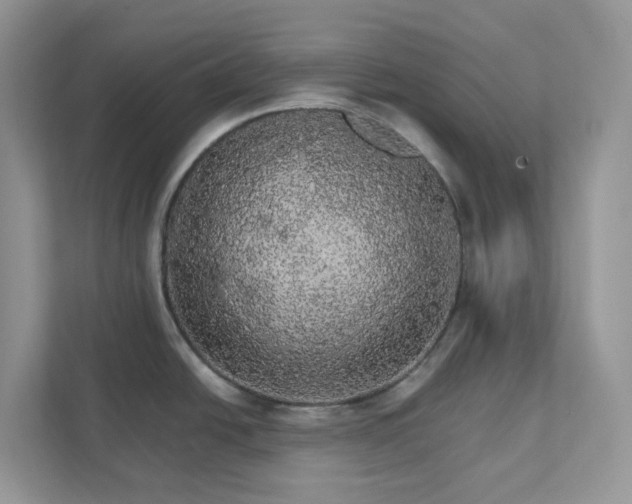 X0000111581438200907301355