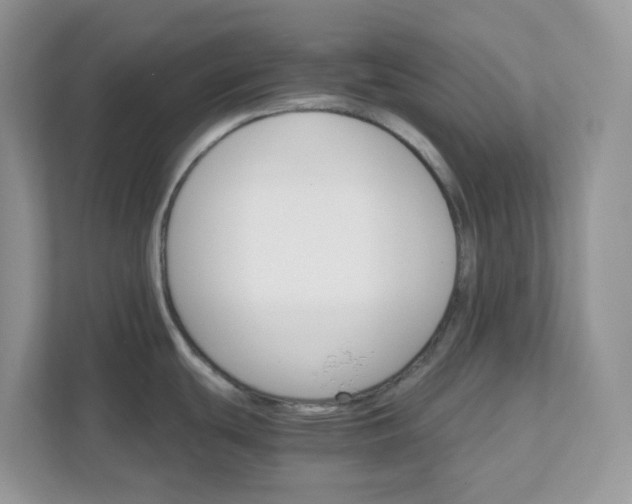 X0000111581439200907301355