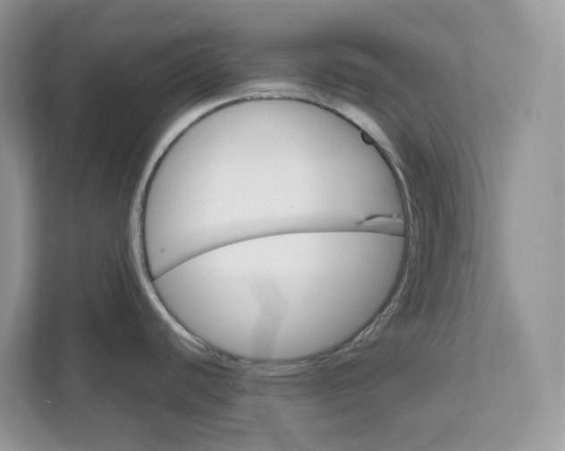 X0000111581440200907301355