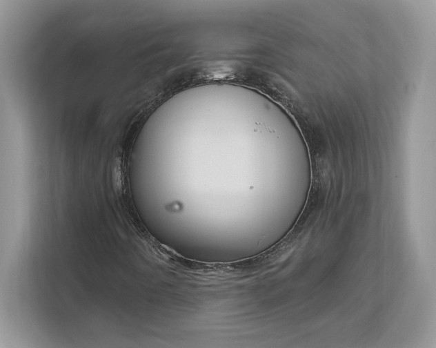 X0000111581442200907301355