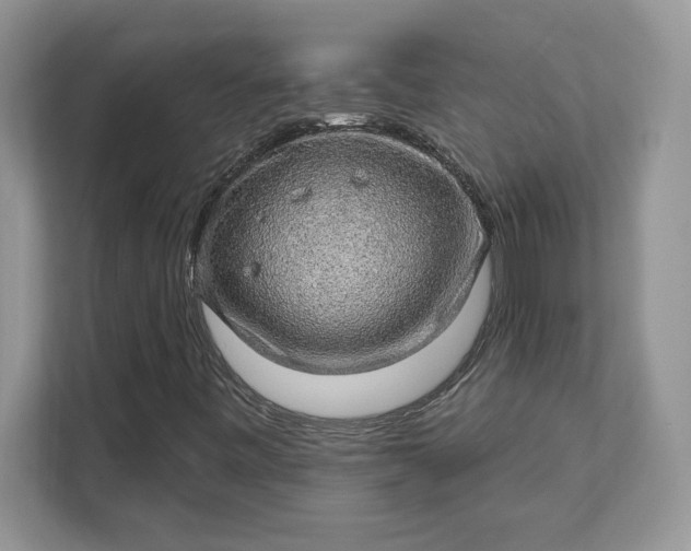X0000111581443200907301355