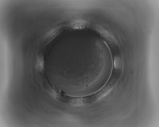 X0000111581444200907301355