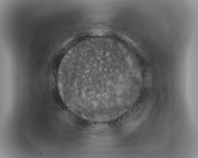X0000111581446200907301355