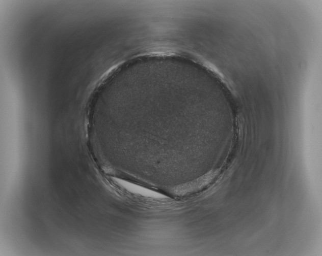 X0000111581448200907301355