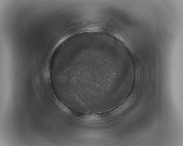 X0000111581450200907301355