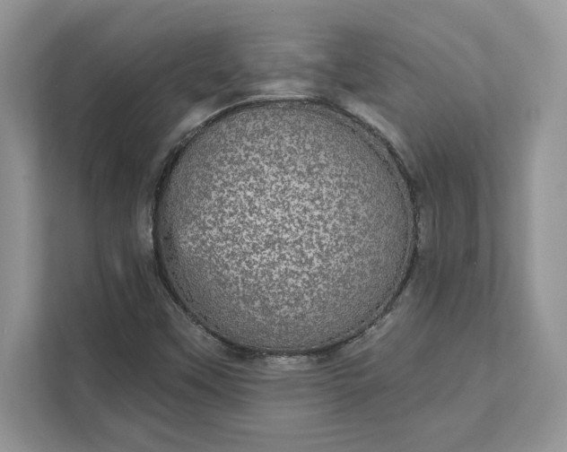 X0000111581451200907301355