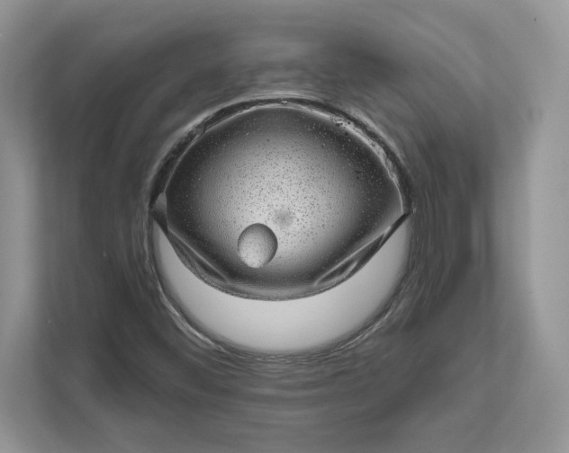 X0000111581452200907301355