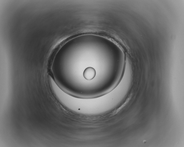 X0000111581453200907301355
