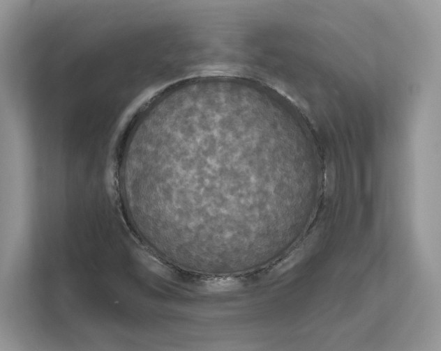 X0000111581454200907301354