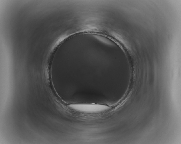 X0000111581455200907301354