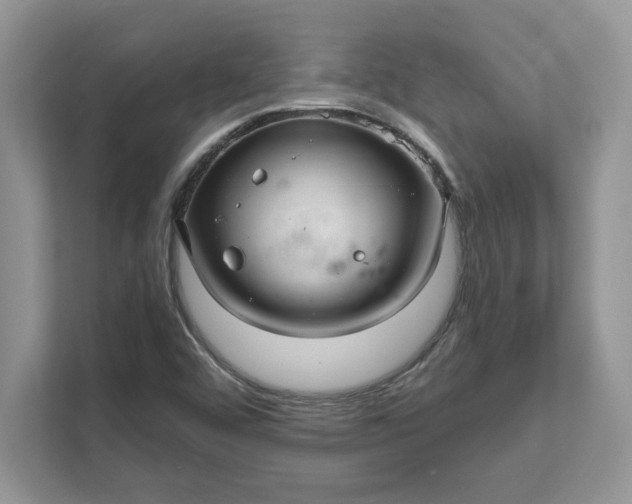 X0000111581456200907301354