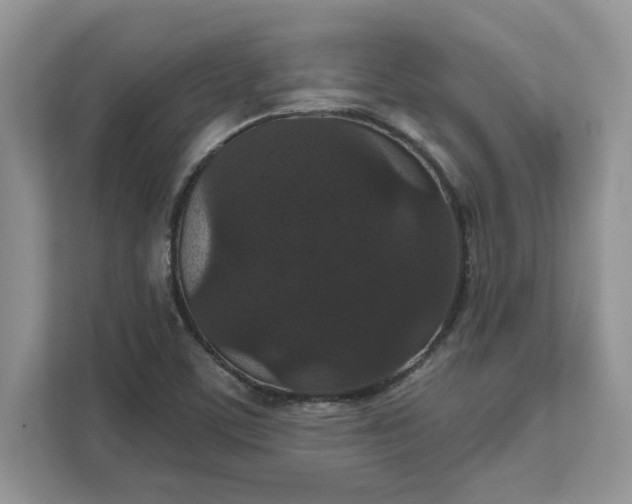 X0000111581459200907301354