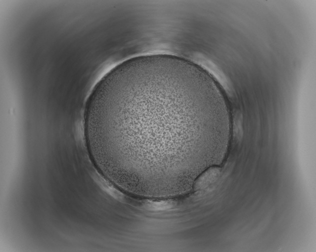 X0000111581460200907301354