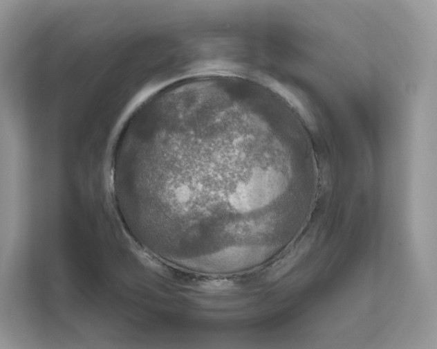 X0000111581462200907301354