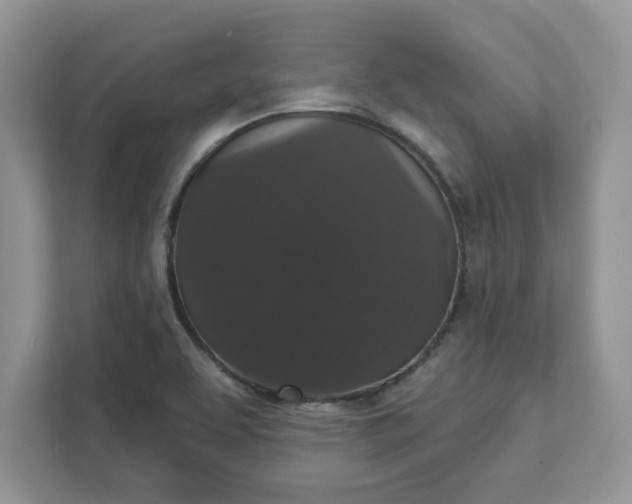 X0000111581463200907301354