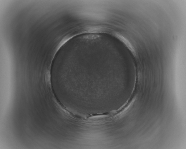 X0000111581465200907301354