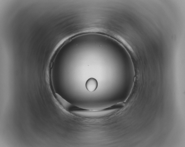 X0000111581468200907301354