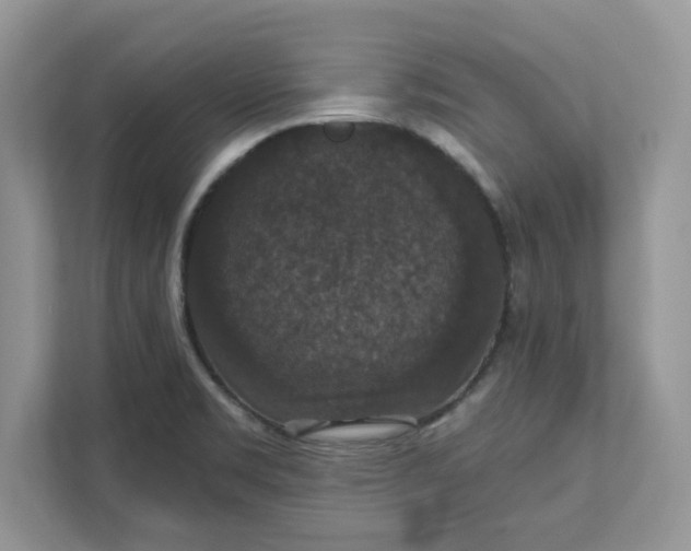 X0000111581469200907301354