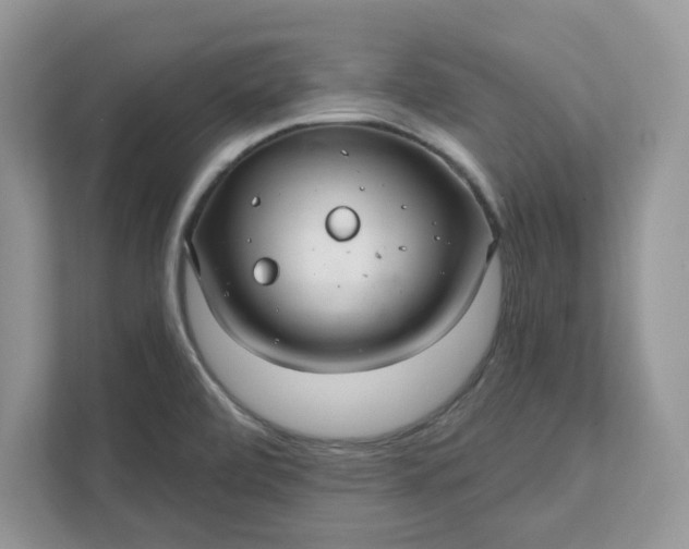 X0000111581472200907301354